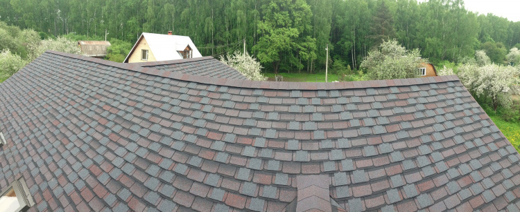 ШИНГЛАС КОНТИНЕНТ (азия)